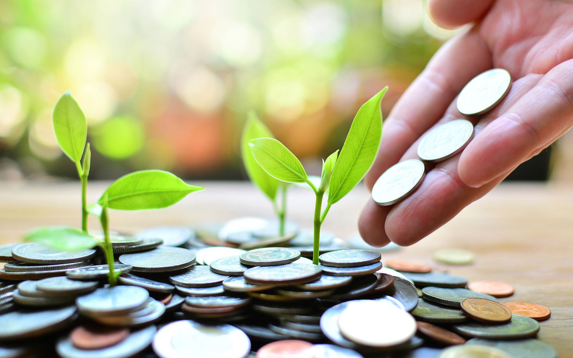 475580222eacf4976f5827326bbee02709e34f44-2000×1250