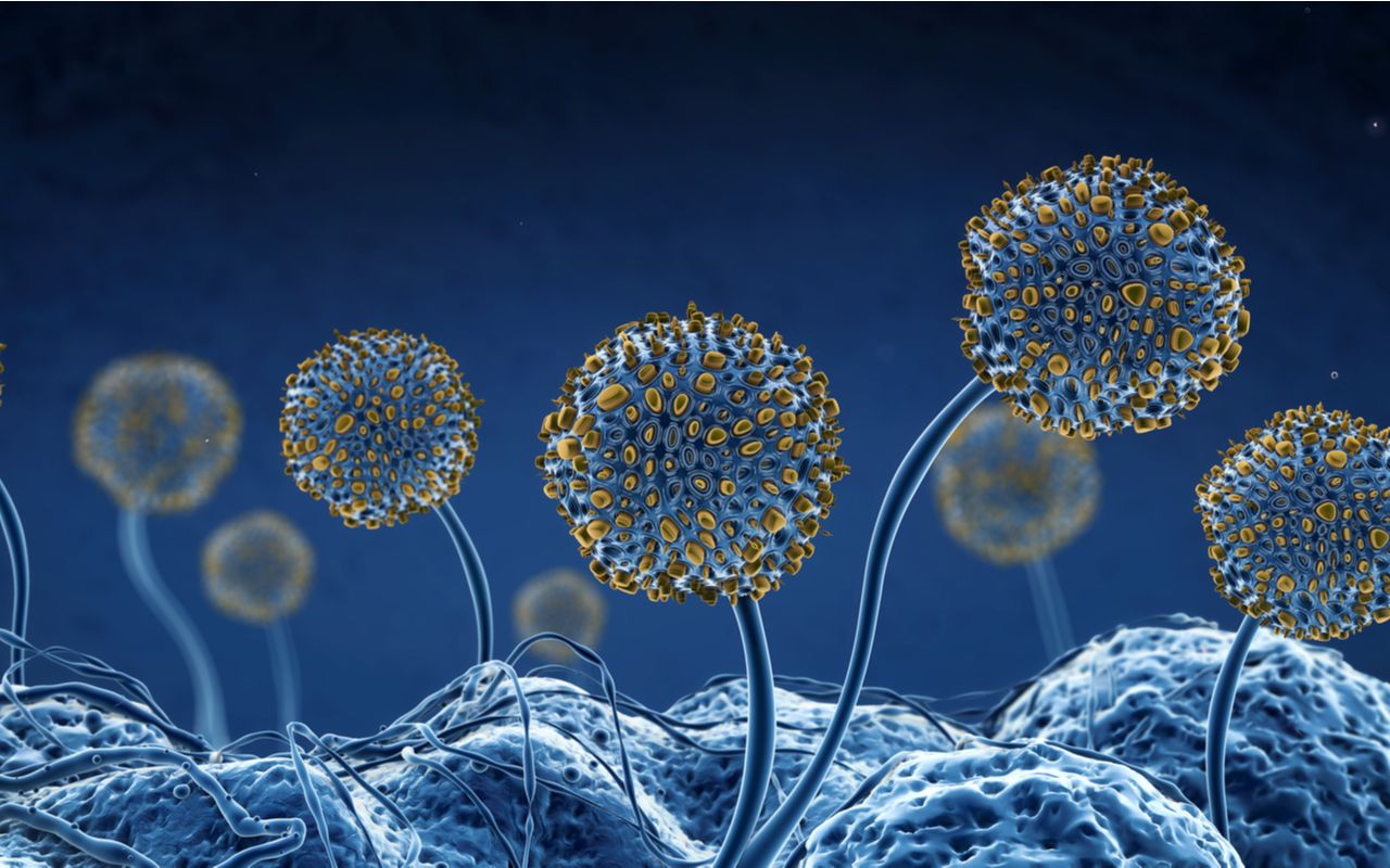 be220fef061612a87b6db1b7c7715f6cf0585860-1280×800