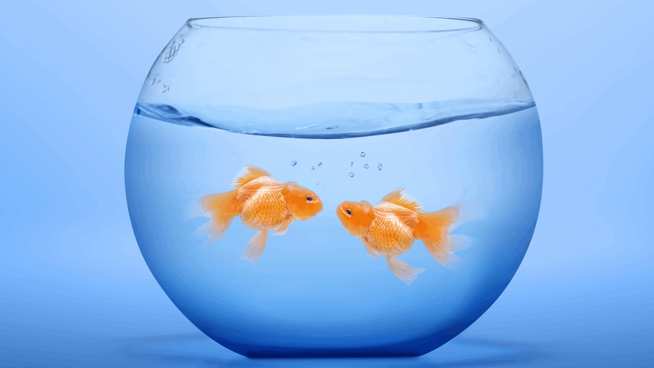 2ef33c92541baac652306d095c556492ea3cd4b9-3464×1949