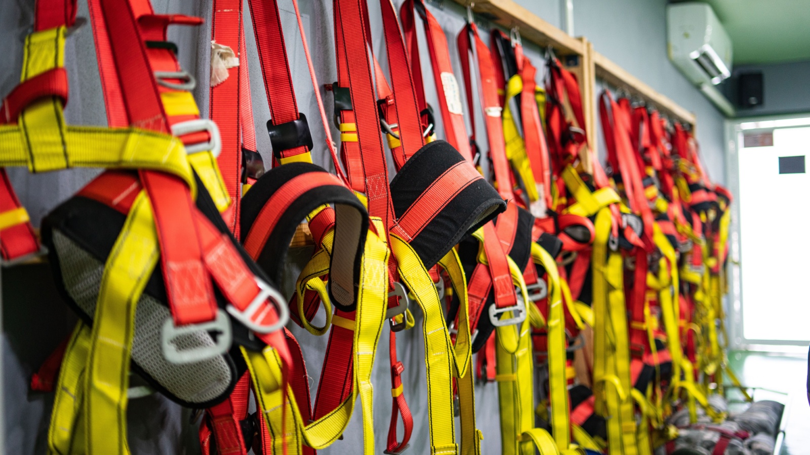 FALL PROTECTION HARNESS