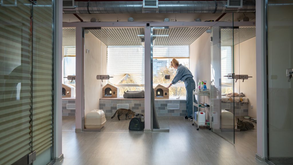 Navigating the Complexities of Bidding on Animal Care Projects