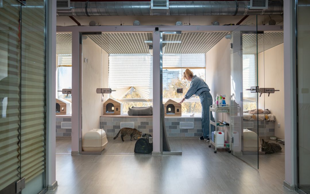 What Contractors Need to Know Before Bidding on an Animal Care Project