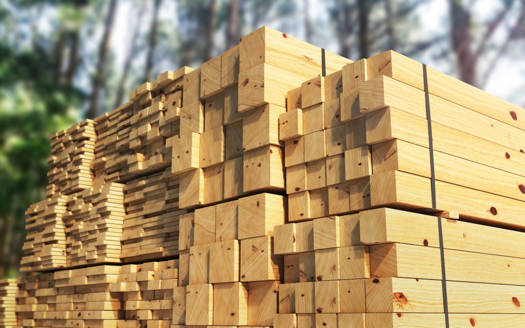 Lumber Holds Steady, Plywood Climbs